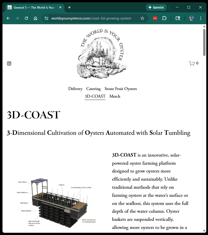 Figure 48: 3D-COAST webpage