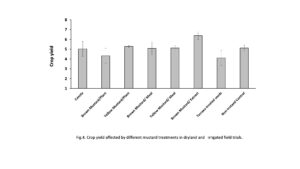 Crop yield affected by different mustard treatments in dryland and irrigated field trials.