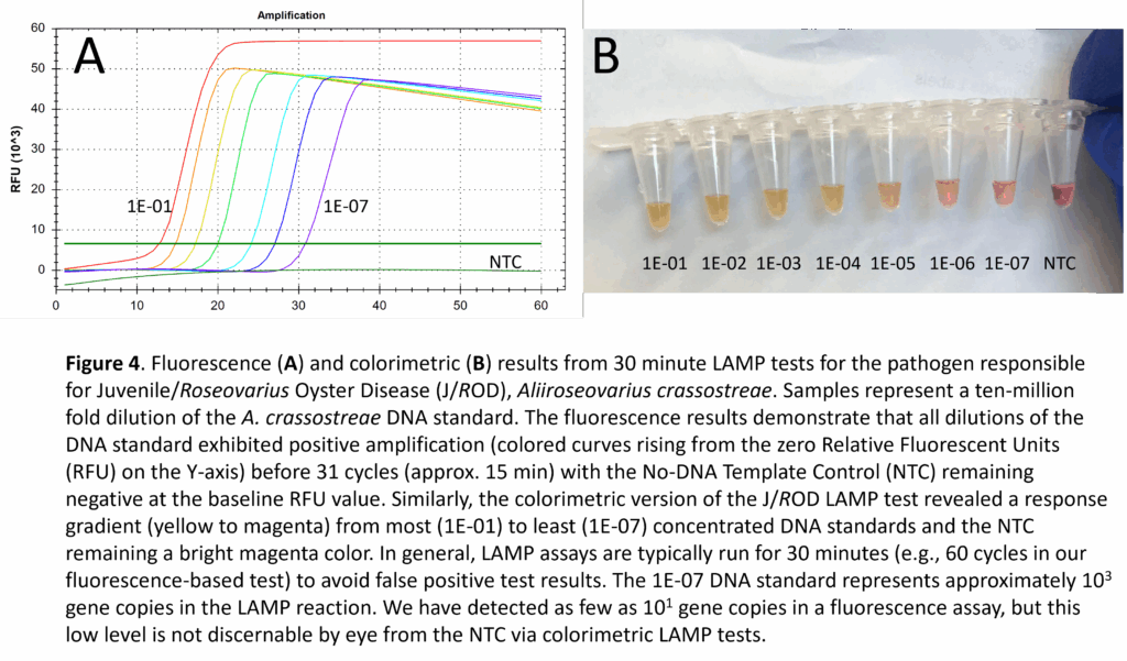 Figure 4a 4b