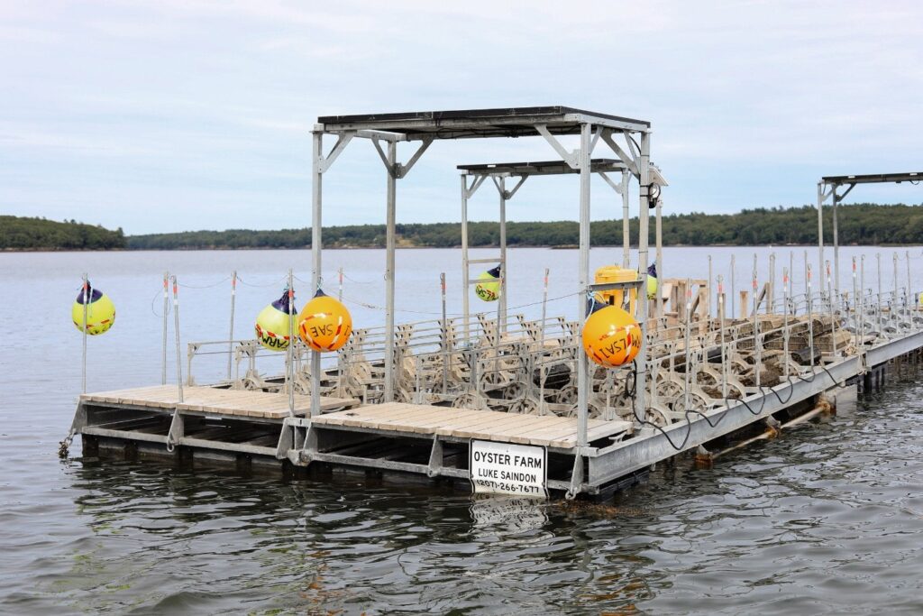 3D-COAST rafts deployed on the TWIYO farm that were upgraded and used during this grant