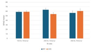 Fig. 6 SPAD meter readings of tea plants treated in Expt. 2 with either UAS (urea ammonium sulfate) or blood meal at 150, 250, or 350 lbs. N/A/year. Data were collected in August 2025.