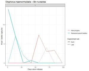 Graph showing Otophorus haemorrhoidalis captures from bin nurseries