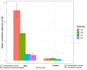 Graph showing species compositions of captures across nursery types