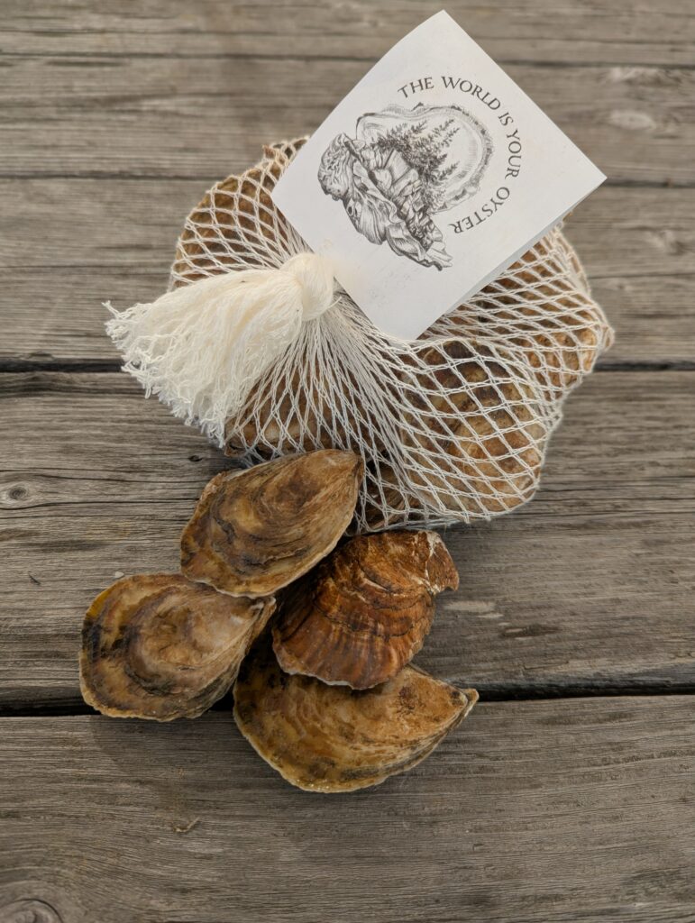 Figure 8: A bag of TWIYO Stone Fruit oysters prepared for the shellfish CSA