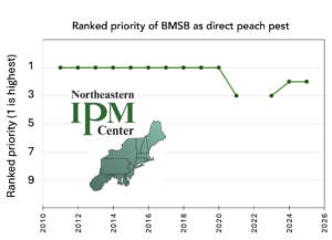bmsb pest priority through time