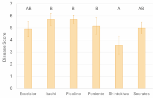Figure 1. Disease scores by variety using a 10-point scale, where a score of 1 indicated approximately 10% of plants within a treatment were affected by disease, and a score of 10 indicated approximately 100% disease incidence.

