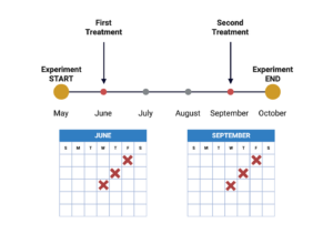 A schematic of treatment regimen.