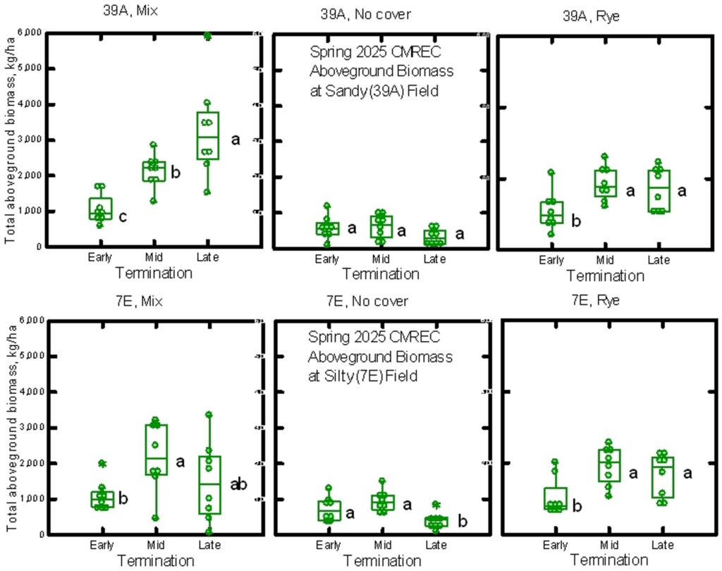 Box plots of ab ove ground biomass at two fields and for three cover crop treatments.