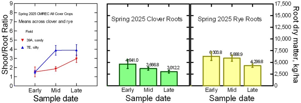 Bar graphs of root dry matter at different termination times, and a line graph of shoot to root ratios.  