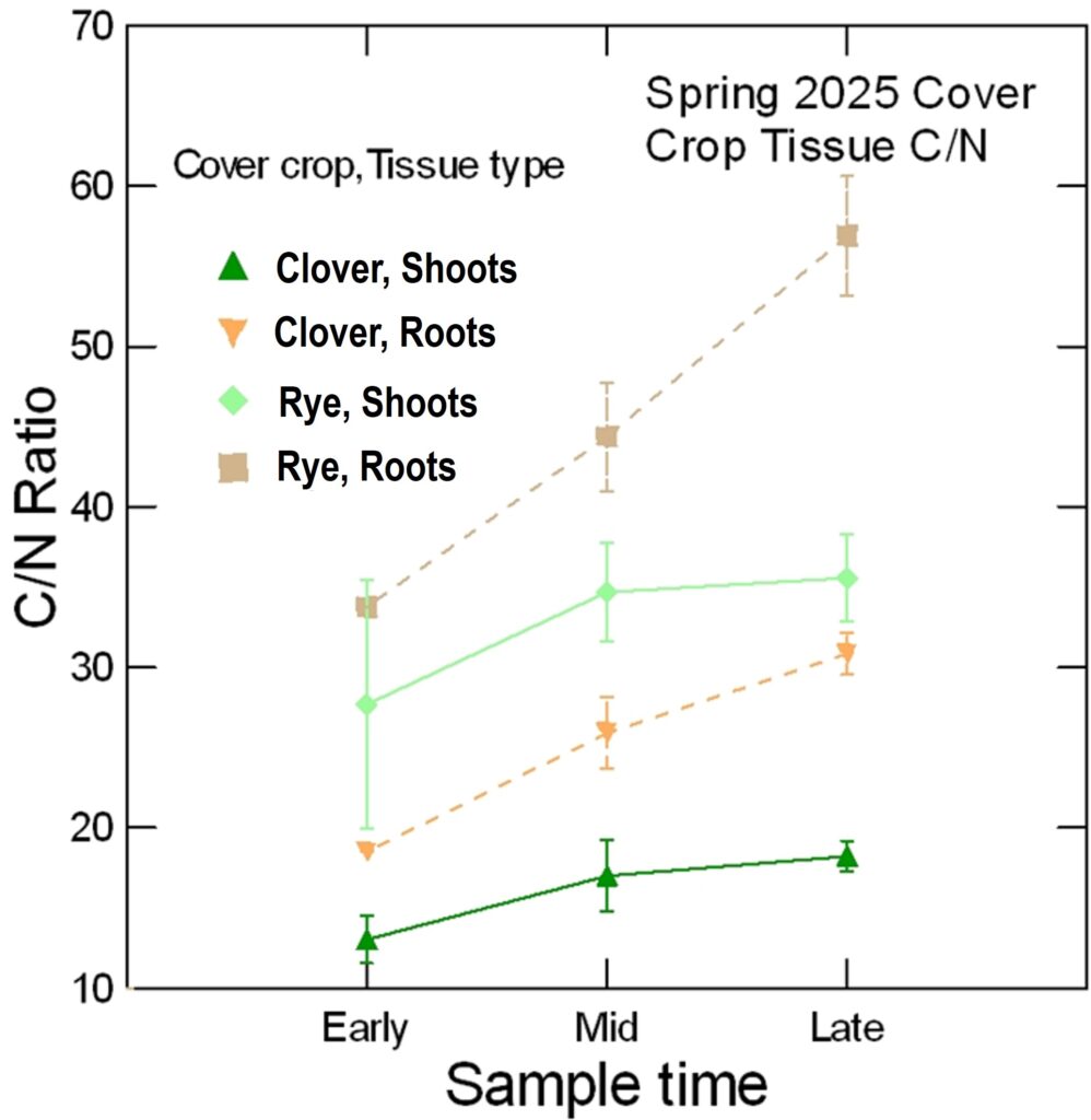 Line graph of C/N ratios in roots and shoots of rye and crimson clover.
