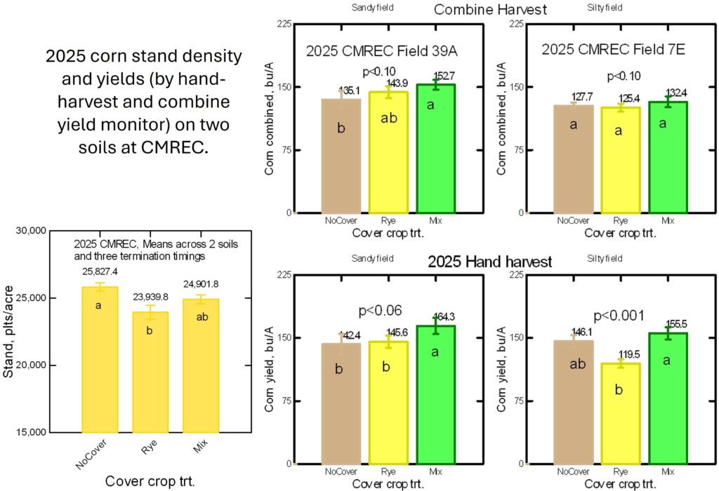 Bar graphs of corn yield as affected by cover crop treatments on two soils.