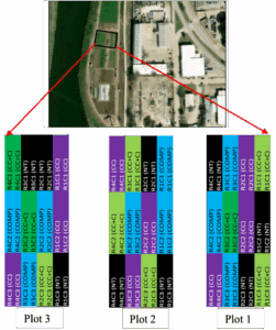 Layout of on-farm research plots