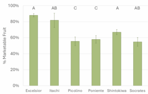 Figure 3. Marketable fruit as a percentage of total fruit harvested.

