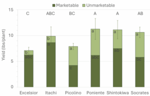 Figure 4. Total marketable and unmarketable fruit by variety.
