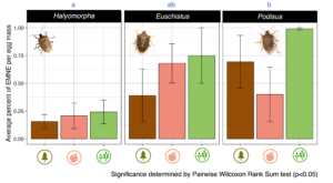 egg mortality in pilot study