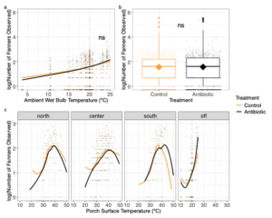 Figure 7. Ambient climate drives porch fanning, not OTC treatment 