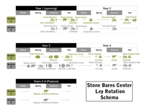 The pasture-focused ley rotation schema implemented at Stone Barns Center.