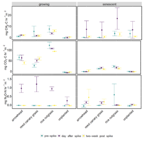 Plot of GHG rates across different plant treatments. Rates are parsed by gas, nitrate enrichment status, and plant growth stage. 