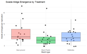 Greenhouse boxplot, jitterplot of midge emergence by treatment