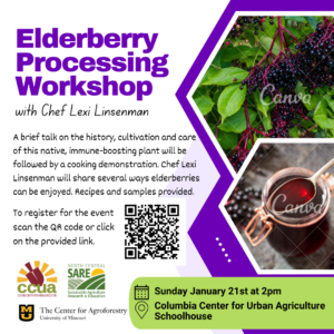 Social media post for elderberry workshop