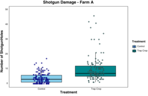 box plots showing differences in feeding damage between trap crop treatments on Farm A