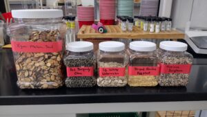 Saved African Heritage seeds