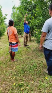 Grant PI showcasing WSARE-Cooperator Agroforestry Demo Plot