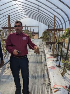 Project PI discussing raspberry harvesting stages in high tunnel production.