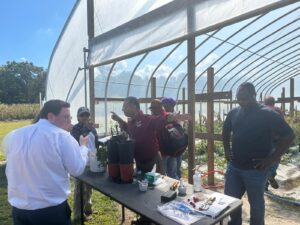 Vet farmers learning apple budding and grafting using rootstock and scion.