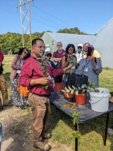 Dr. Dixit demonstrating scion budwood selection for apple budding to veteran farmers.