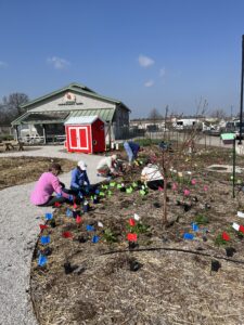 Volunteers planting medicinal demo garden at CCUA