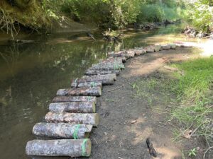 VERY COOL log watering technique developed by Ed, at the skookum creek