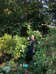 tall garden
