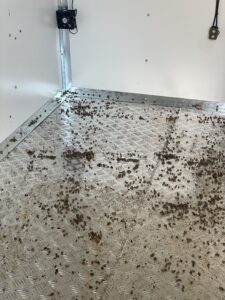 Nurse bee loss inside the overwintering unit.