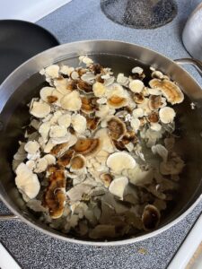 Simmering turkey tail for concentrated extract powder