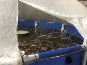 Round Shrimp Pool Tank