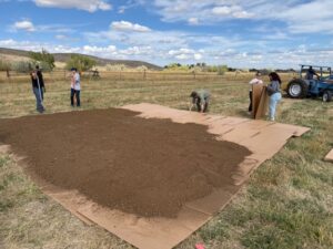 Installing cardboard and compost at WRFSP