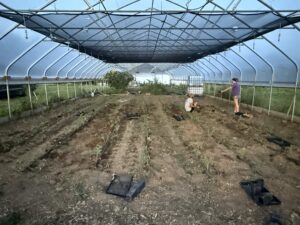 Project Set -Up and Initiation