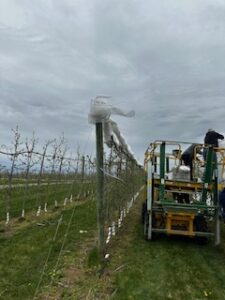 Netting education