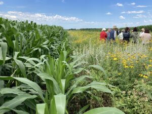 Prairie strip at Roadman Field Day. July 2022.