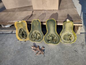 Guatemalan Green Ayote