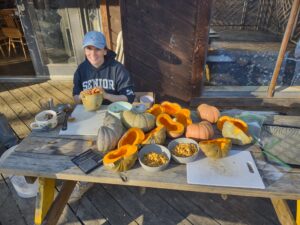 Processing and Evaluating Vine Borer Resistant Kabocha