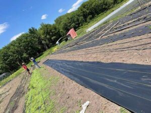 Two farmers in discussion stand in a field with geotextile mulch installed, with fields partially planted.