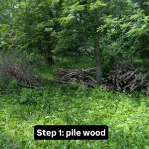 <img src="IMG_20250610_175826_567.png" alt="Step 1: pile wood">