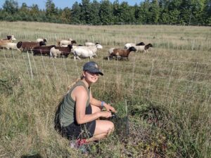 Measuring Pine Nut Trees. September 2025.
