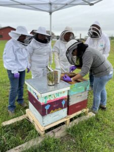 People in veils next to beehives