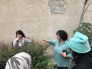 a group learning about lemon balm