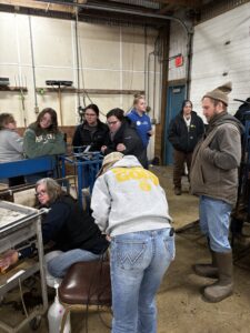 A group of adults watching pregnancy ultrasound of a ewe