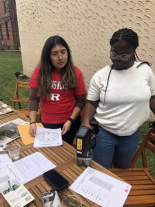 Graduate Students work on Soil Toxicity Testing with Dr. Ashaki Routh at the Workshop.