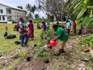 Breadfruit agroforest planting